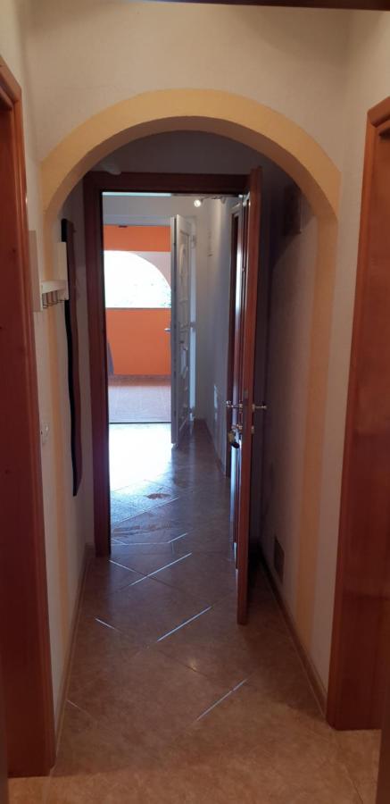 Apartmani Citrus Novigrad Filipac 外观 照片
