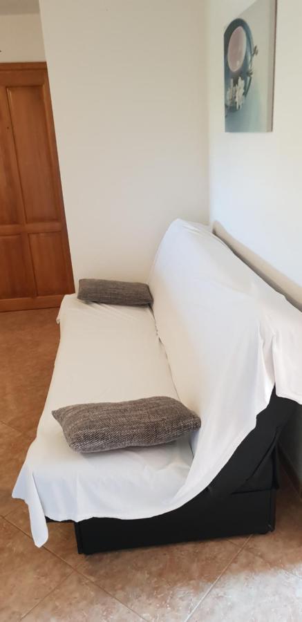 Apartmani Citrus Novigrad Filipac 外观 照片