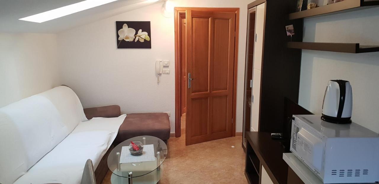 Apartmani Citrus Novigrad Filipac 外观 照片