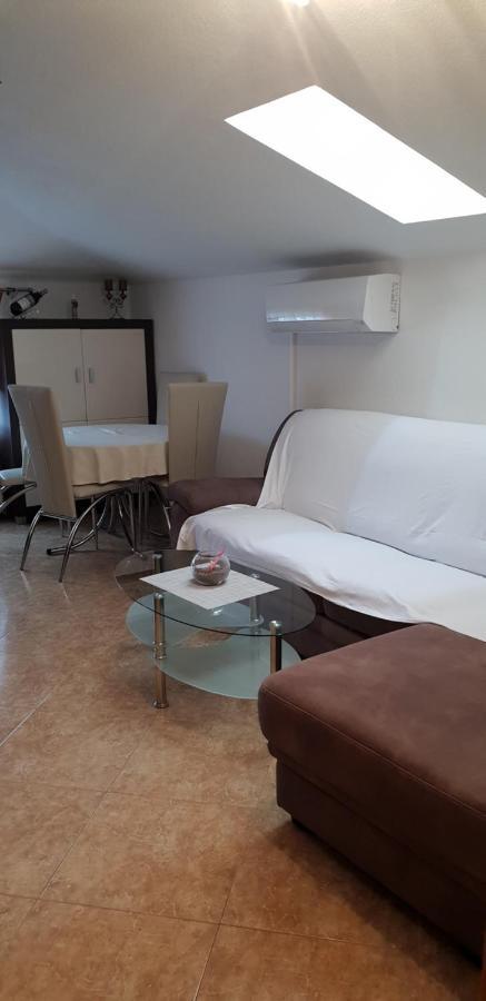 Apartmani Citrus Novigrad Filipac 外观 照片