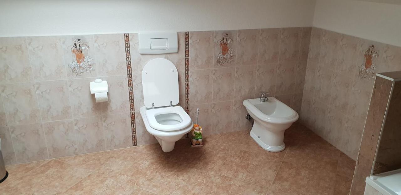 Apartmani Citrus Novigrad Filipac 外观 照片