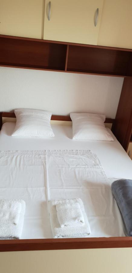 Apartmani Citrus Novigrad Filipac 外观 照片