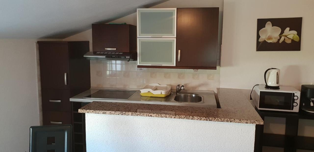 Apartmani Citrus Novigrad Filipac 外观 照片