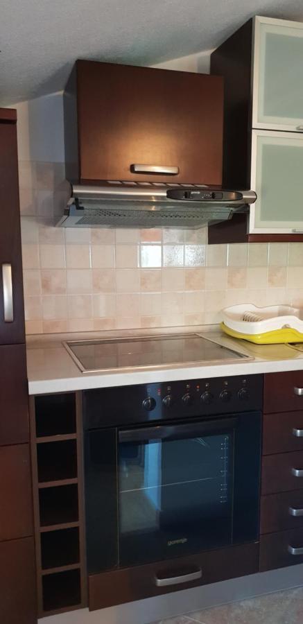 Apartmani Citrus Novigrad Filipac 外观 照片