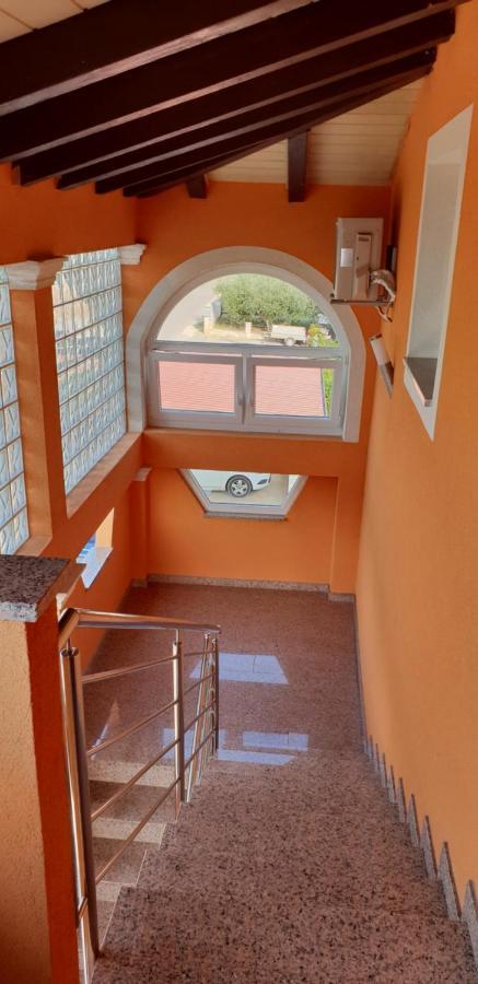 Apartmani Citrus Novigrad Filipac 外观 照片