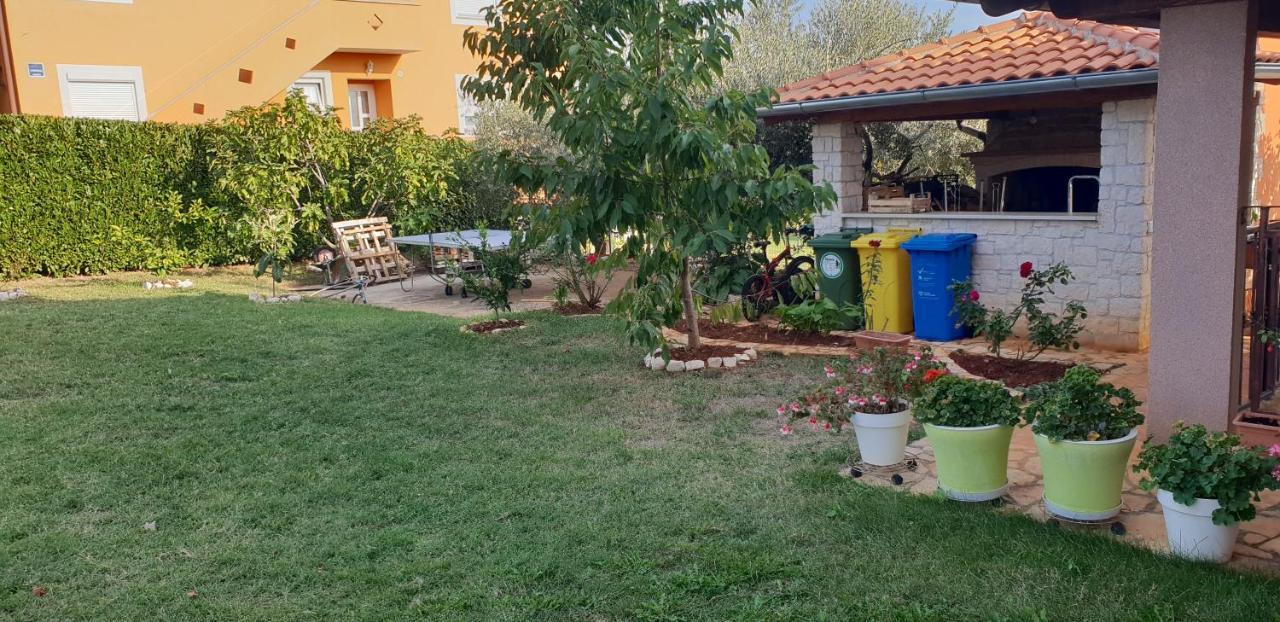 Apartmani Citrus Novigrad Filipac 外观 照片