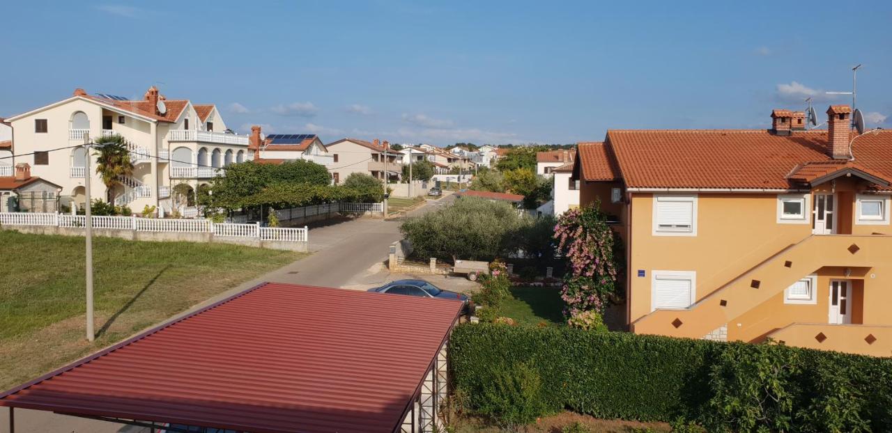 Apartmani Citrus Novigrad Filipac 外观 照片