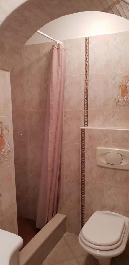 Apartmani Citrus Novigrad Filipac 外观 照片