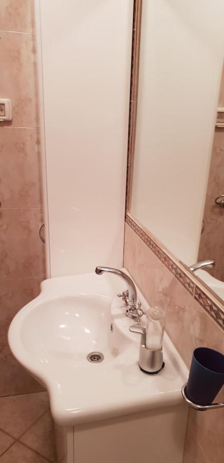 Apartmani Citrus Novigrad Filipac 外观 照片
