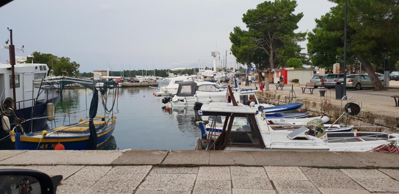 Apartmani Citrus Novigrad Filipac 外观 照片